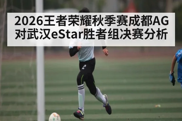2026王者荣耀秋季赛成都AG对武汉eStar胜者组决赛分析